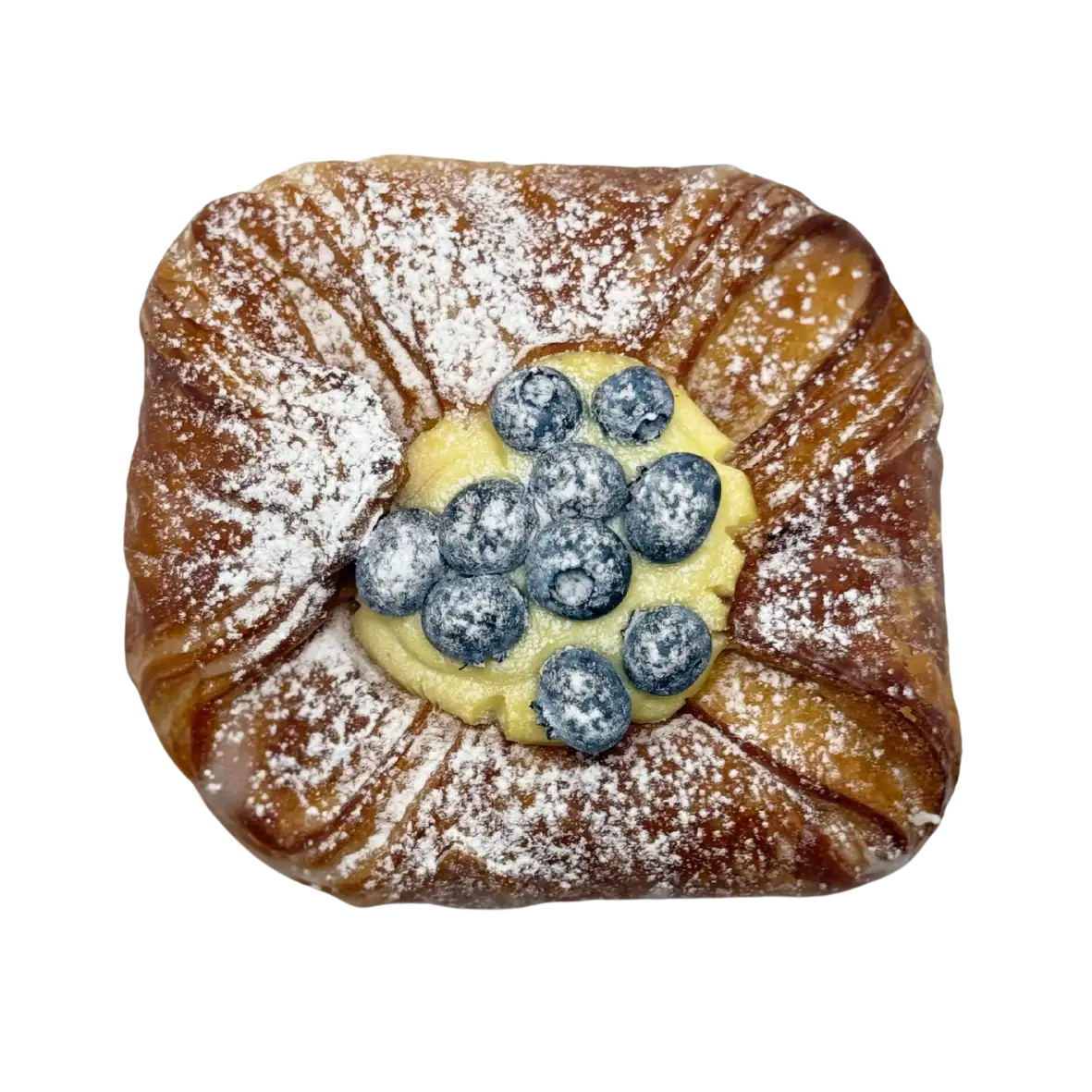 Ein quadratisches Gebäck aus der Naturbackstube, das mit Puderzucker bestäubt und in der Mitte mit Sahne und frischen Blaubeeren gefüllt ist.