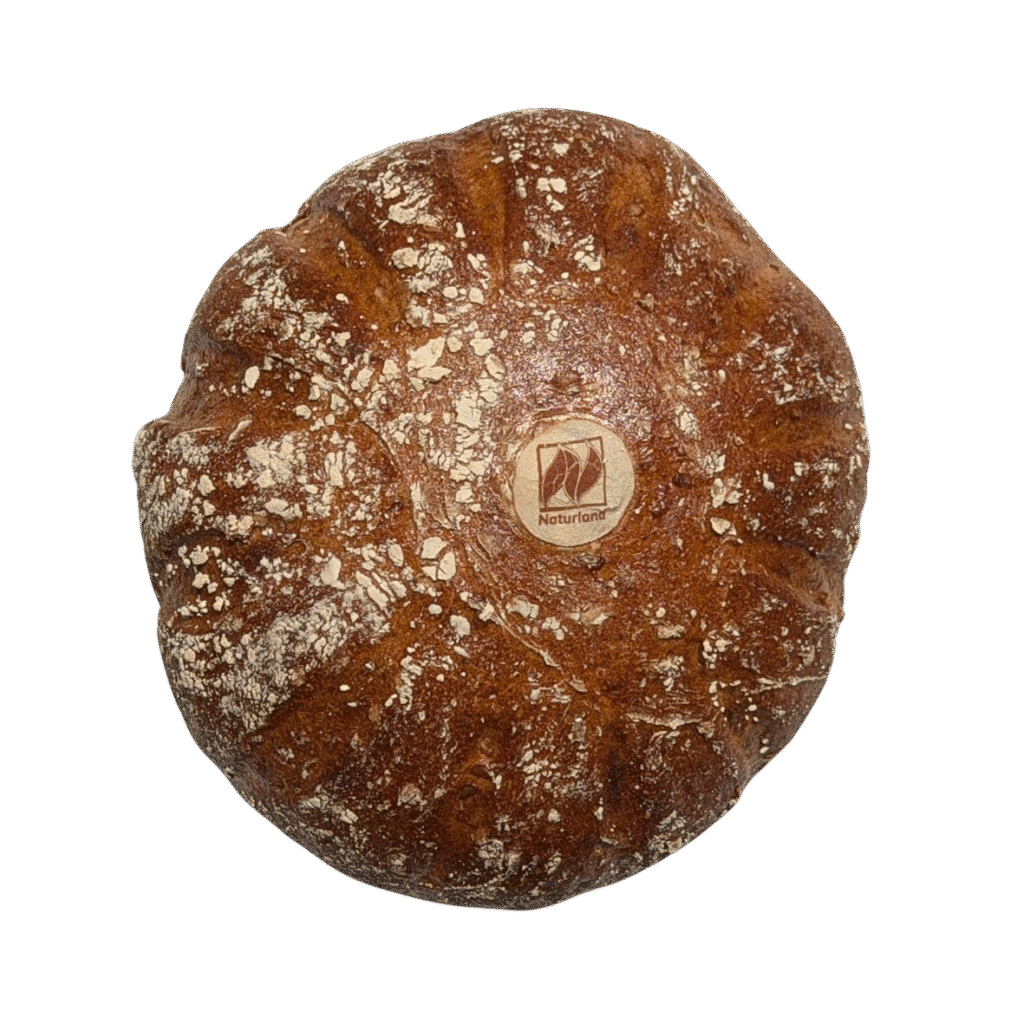 Ein runder, rustikaler Brotlaib aus der Naturbackstube Bäckerei Wiesender in Pfaffenhofen mit goldbrauner Kruste, leichter Mehlbestäubung und tiefen Rillen, die von der Mitte ausstrahlen.